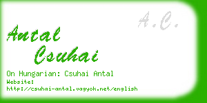 antal csuhai business card